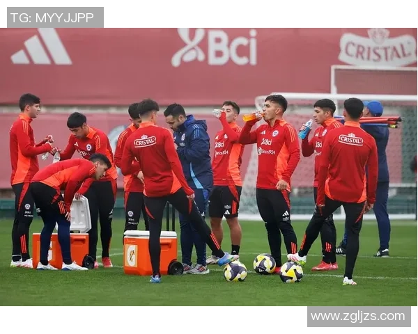 德国与智利联合赛精彩对决展现足球魅力与实力碰撞 德国与智利联合赛精彩对决展现足球魅力与实力碰撞